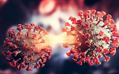 চট্টগ্রামে কোভিডে আক্রান্ত নারীর মৃত্যু