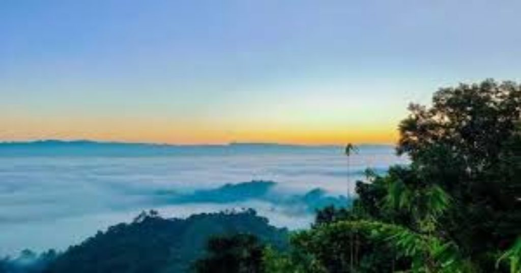 পর্যটন শিল্পে সম্ভবনার ডানা মেলছে লামা