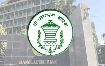 তরুণ উদ্যোক্তাদের জামানত ছাড়াই ২০ লাখ টাকা দেবে বাংলাদেশ ব্যাংক