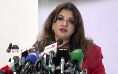 জ্বালানি সংকট মোকাবিলায় বিকল্প উৎস খুঁজছে সরকার : পররাষ্ট্র প্রতিমন্ত্রী