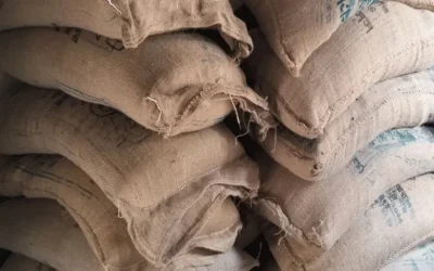 ভারত থেকে আনা ১৩৫ টন চালে মিলল বিষাক্ত উপাদান